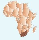 Bluff Predicts on South African Exploding