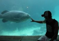 Atlantis with Pokerstars was Awesome
