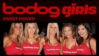 Bodog Freeroll Expected Soon