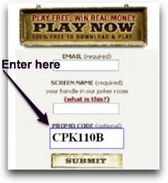 Where to enter the promo code for Doyles Room